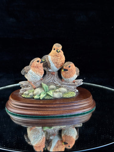 The Leonardo Collection 