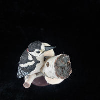 Thumbnail for Eaglemoss The Great Spotted Woodpecker 4.25