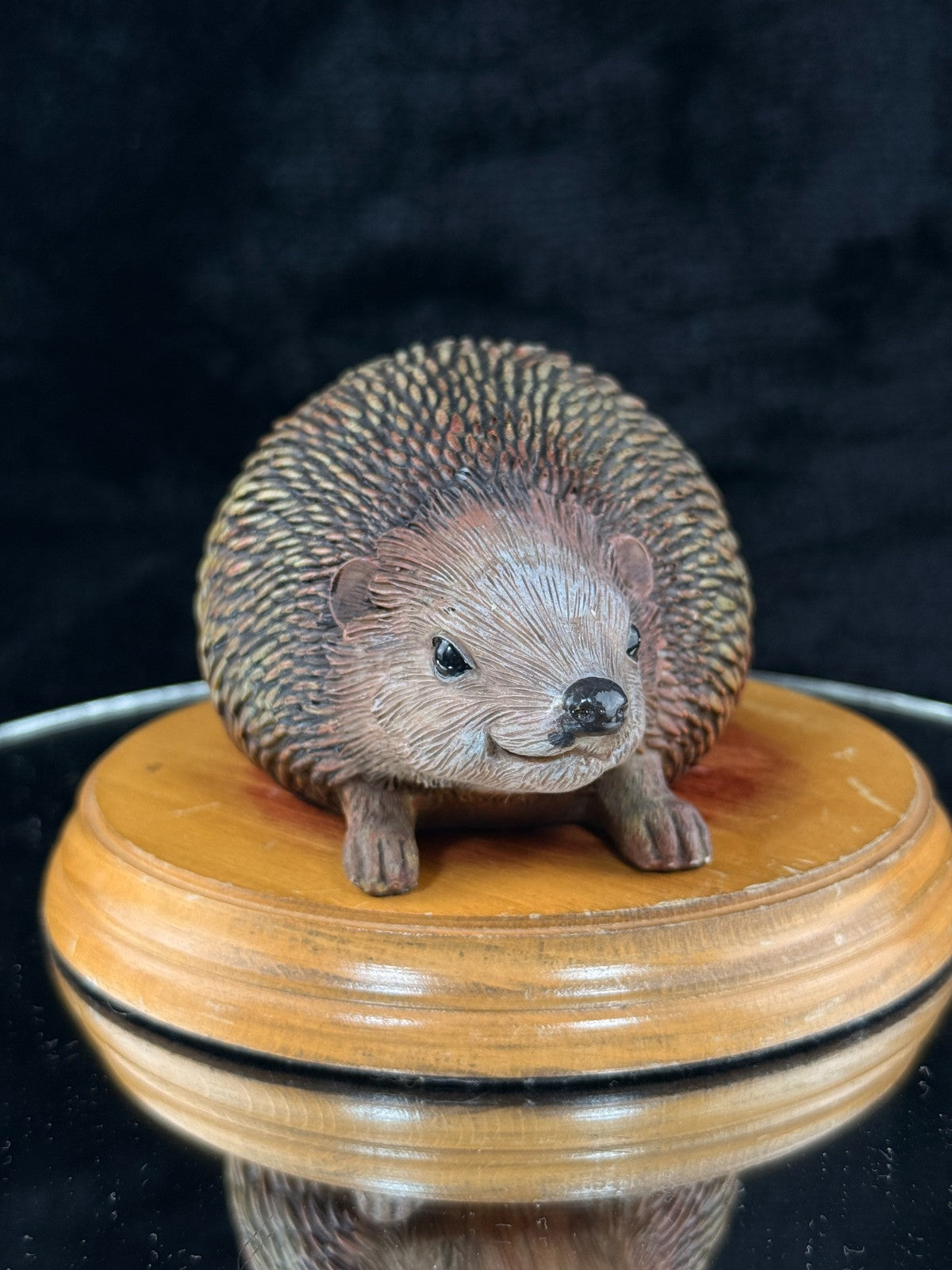 Hand‑Painted Hedgehog on Wooden Plinth – Wildlife Figure / Ornament Resin? Gift10