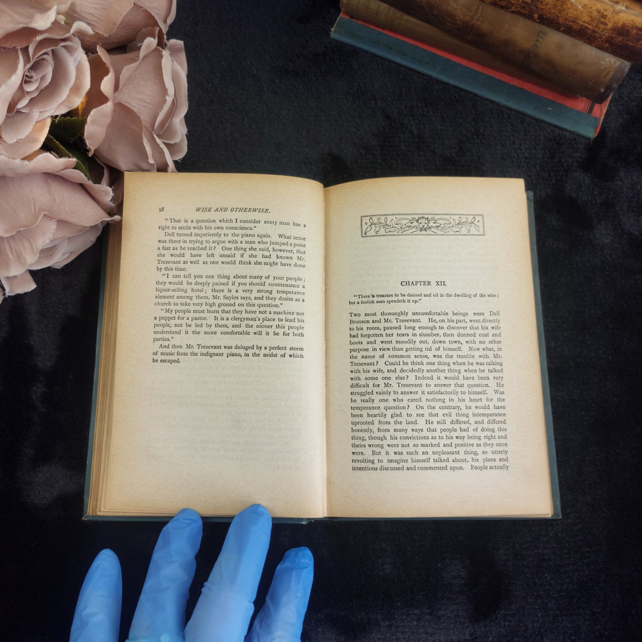 Novel Wise and Otherwise Pansy Illustrated  Antique Book5