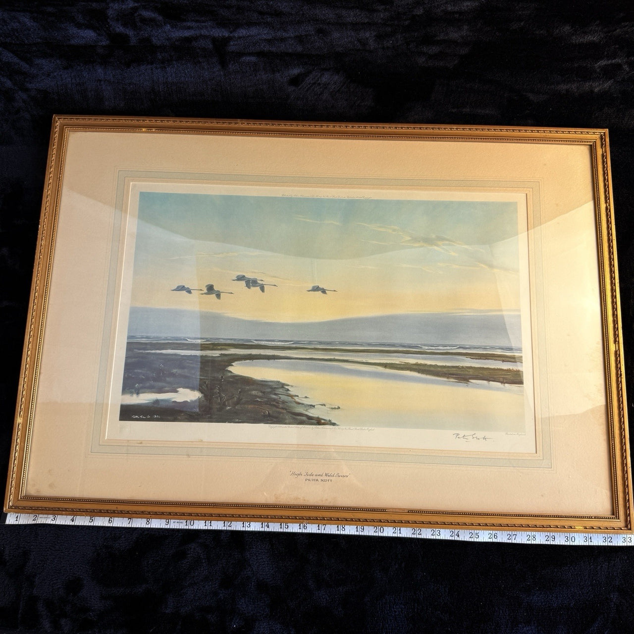 Limited "High Edition Tide and Wild Swans" Signed Proof by Sir Peter Scott 193618