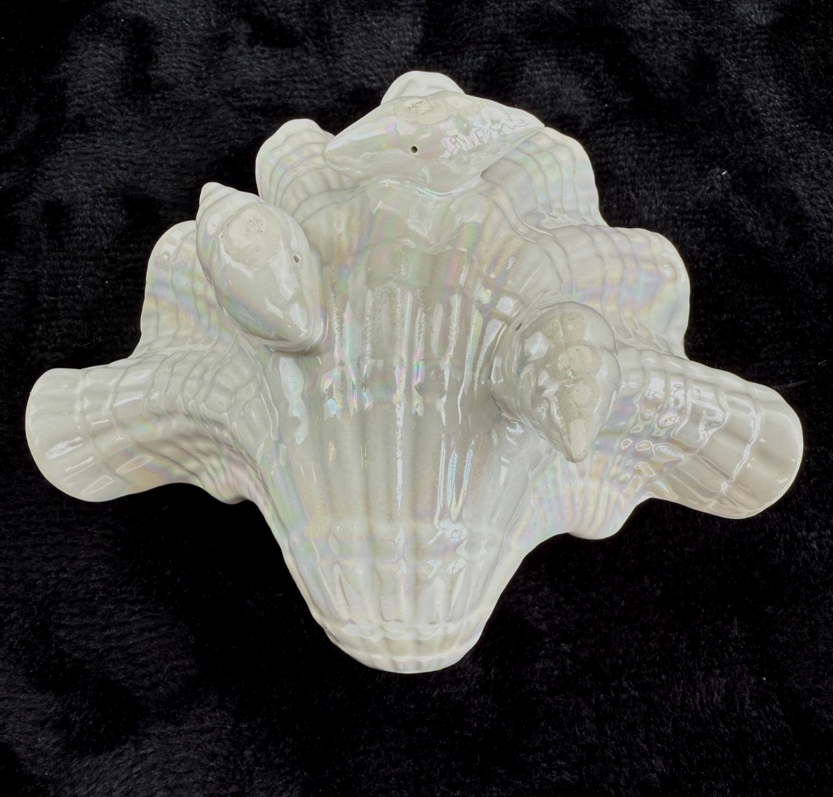 Vintage 1953 Royal Worcester Bone China Iridescent Shell Figurine/Dish  Model G4