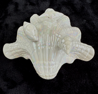 Thumbnail for Vintage 1953 Royal Worcester Bone China Iridescent Shell Figurine/Dish  Model G4