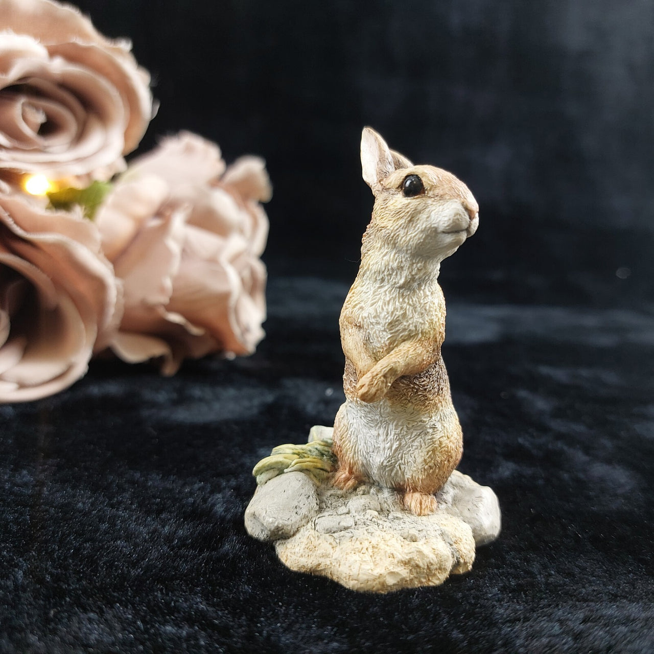 Border Fine Arts "Bright Eyes" rabbit Figurine (BO256) 1998 (EEGG Ltd.) de Resin11