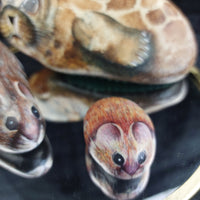 Thumbnail for Rare M. Leadbetter 1978-80 Painted Stone Animals Seal, Wood Mouse, Harvest Mouse9