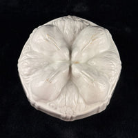 Thumbnail for Wedgwood Semi Porcelain Blossom Jelly Mould Victorian White England chipped2