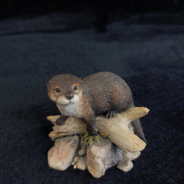 Border Fine Arts Otter First Outing Figurine  2.5