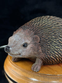 Thumbnail for Hand‑Painted Hedgehog on Wooden Plinth – Wildlife Figure / Ornament Resin? Gift12