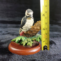 Thumbnail for Border Fine Arts Great Spotted Woodpecker A0409 Russell Willis 2000 Figurine dec9