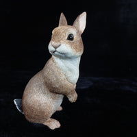 Thumbnail for Border Fine Arts Rabbit Collectible Figurine 2004 BFA Scotland 17cm, 638g decor0