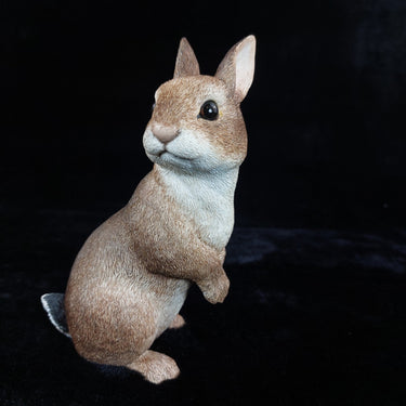 Border Fine Arts Rabbit Collectible Figurine 2004 BFA Scotland 17cm, 638g decor0