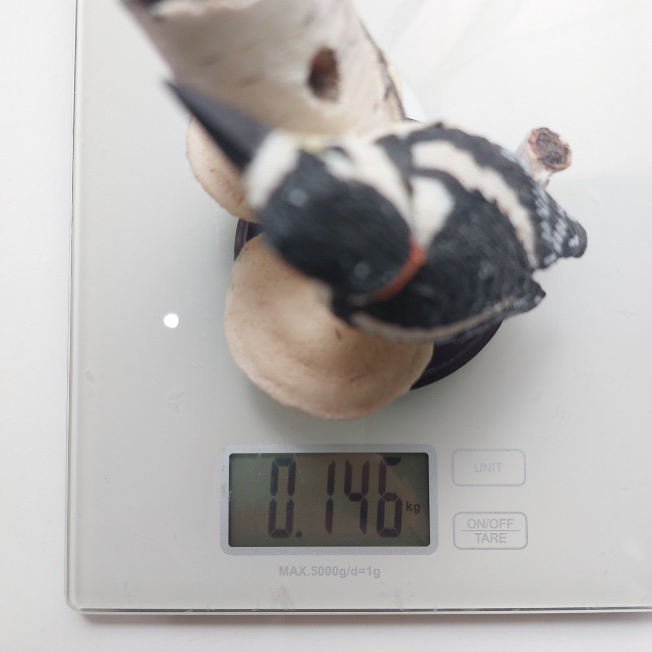 Eaglemoss The Great Spotted Woodpecker 4.25" Figurine –2002 Painted Hand Bird de8