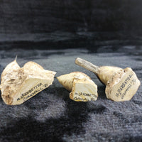 Thumbnail for M Leadbetter Cornwall Bird Figurines â Set of 3 Wrens & Robin, 1979â81 Handc10