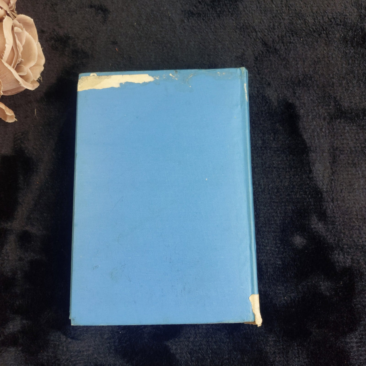 1941 Romany Out by the Sea  Bramwell Evens Hardcover BBC Nature Book edit first 2