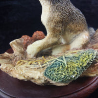 Thumbnail for Fine Border Arts 1995 