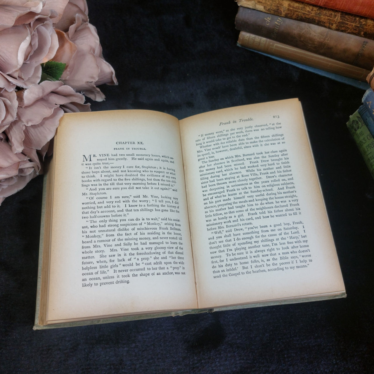 Paull Ripley Flower of the Grassmarket Book Decorated Cover 1900 Hodder antique11
