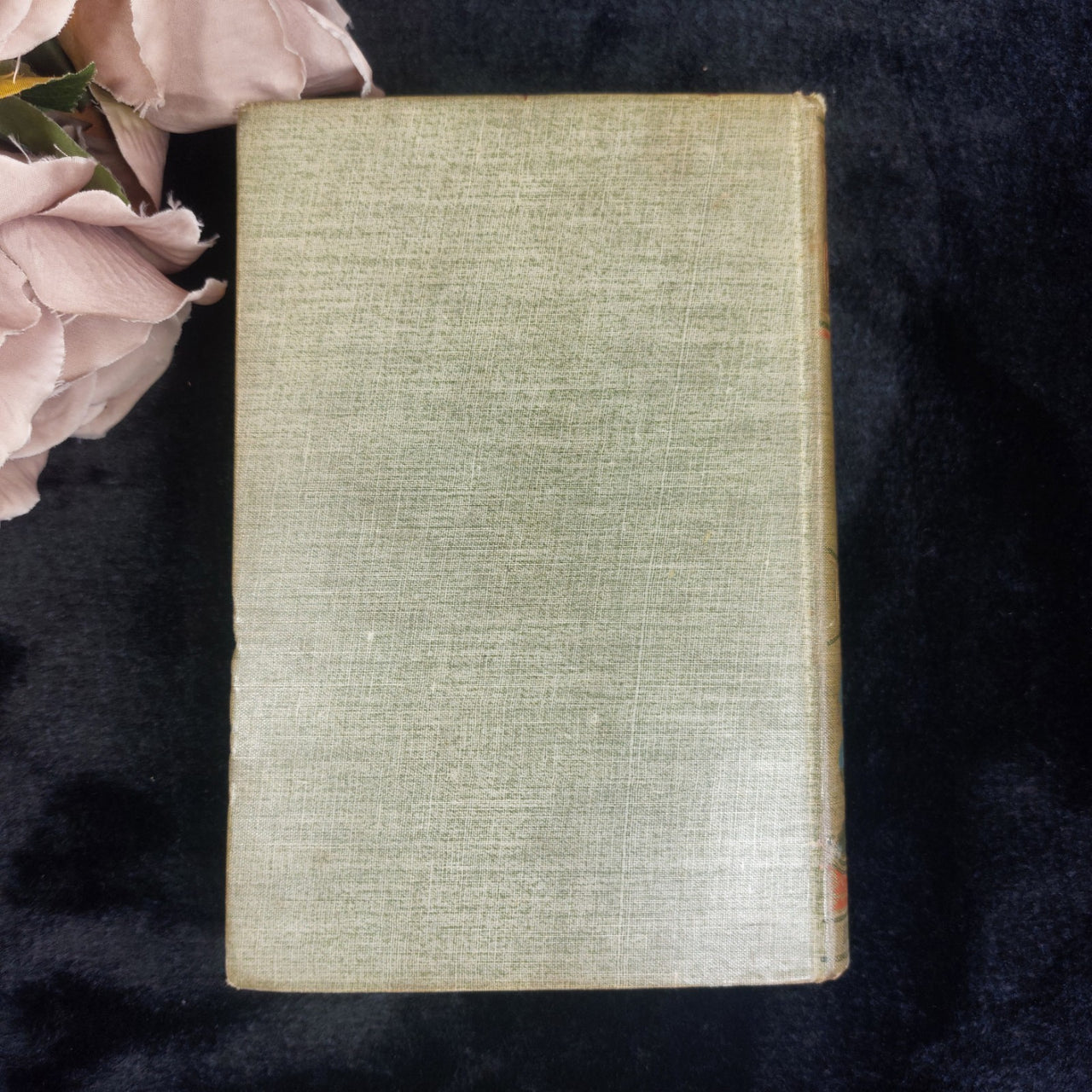 Paull Ripley Flower of the Grassmarket Book Decorated Cover 1900 Hodder antique3