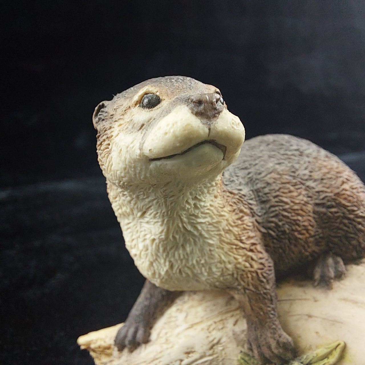 Border Fine Arts  Year 1994 "First Outing" Otter Figurine - MTR01 by Ray Ayres5