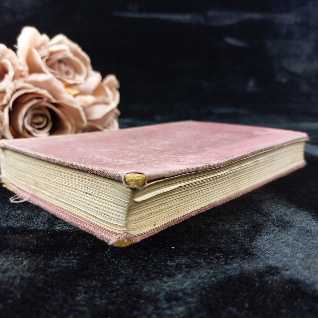 Cicely, Courtnedge Hutchinson HardcoverUnited Kingdom Collectable British  1953 2