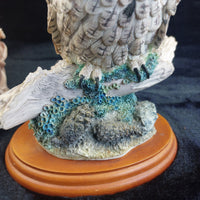 Thumbnail for Border Fine Arts 1998 Long Eared Owl Russell Willis 541729  BFA Birds Figurine6