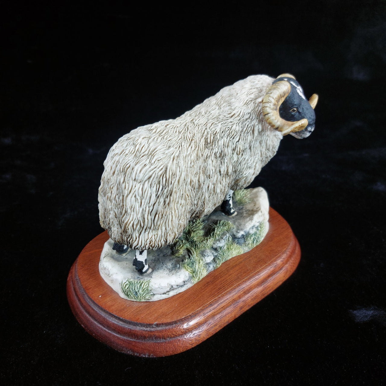 Border Fine Arts 1995 Black Faced Tup Figurine by Anne Wall The County Show6