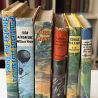 Thumbnail for Vintage Adventure Boy's Stories Book Set 20th Century Classics tarzan lion advan10