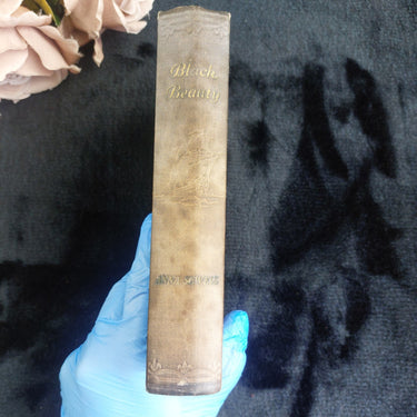 1930s Black Beauty Anna Sewell Illustrated Vintage Book Spine Blue Cloth Display1