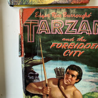 Thumbnail for Vintage Adventure Boy's Stories Book Set 20th Century Classics tarzan lion advan7