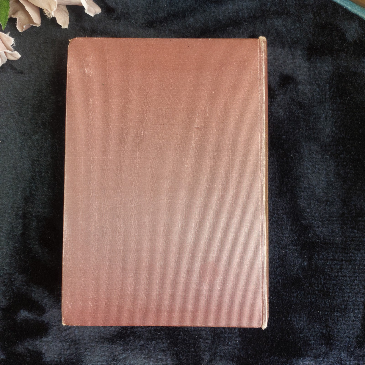  Blind Loyalty E.L. Hazeldel Good Illustrated Prize Book Gilt Spine Color Pl 1902