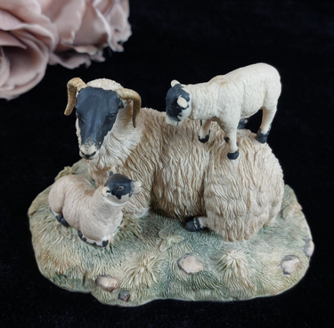 1980s Border Fine Arts D Walton Scottish Black Face Sheep Family Highland1