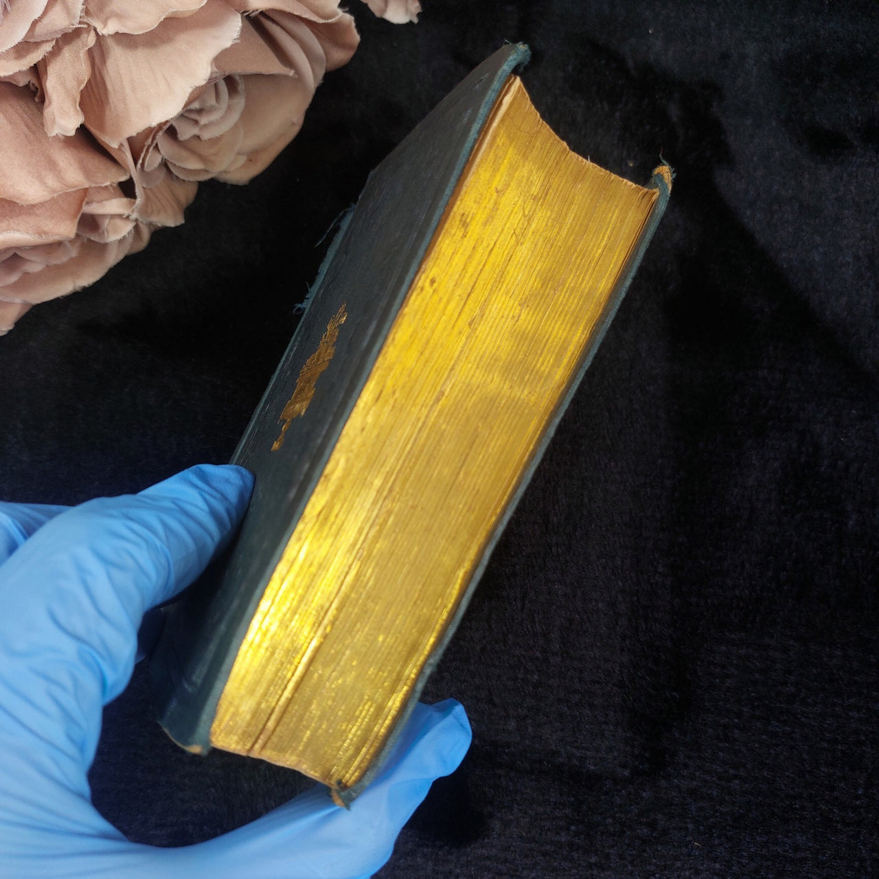 Robertson History Charles V Book Acceptable  1845  Worn Gold Gilt Spine Halifax4