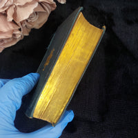 Thumbnail for Robertson History Charles V Book Acceptable  1845  Worn Gold Gilt Spine Halifax4