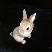 Thumbnail for Border Fine Arts Rabbit Collectible Figurine 2004 BFA Scotland 17cm, 638g decor3