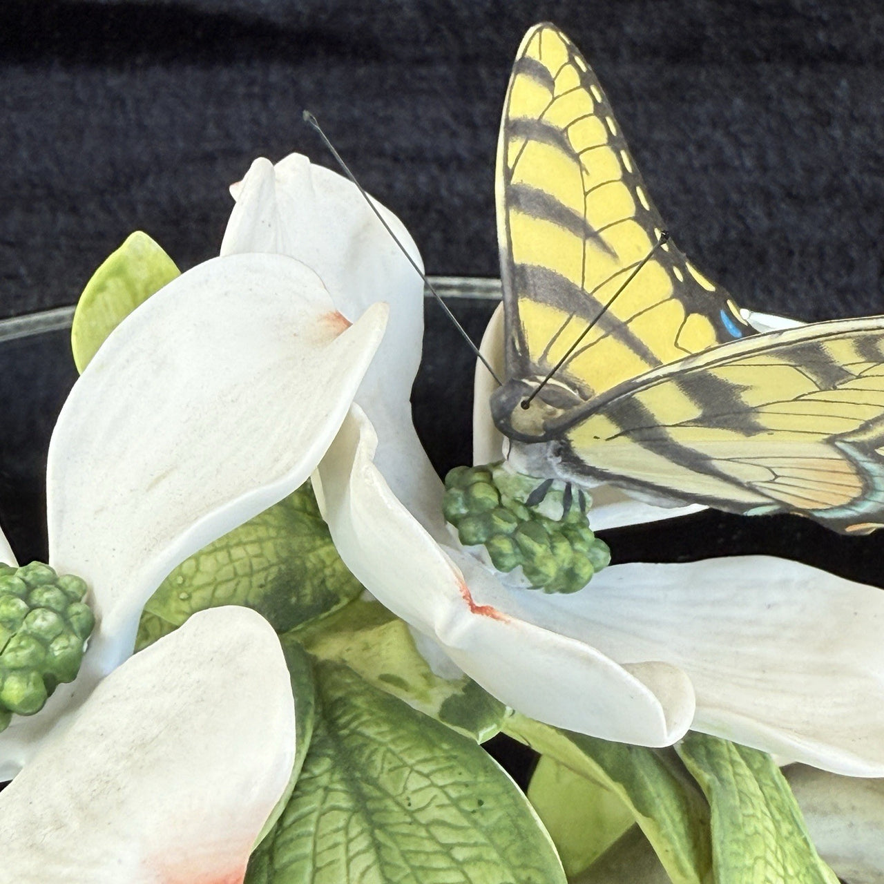 1982, Ian by D. Loe "The Tiger Swallowtail" Dogwood Porcelain Flower Butterfly5
