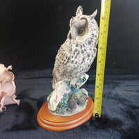 Thumbnail for Border Fine Arts 1998 Long Eared Owl Russell Willis 541729  BFA Birds Figurine12