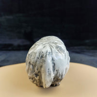 Thumbnail for Animal Collectible Sculpture Porcelain Ram Figurine Rustic Farmhouse Decor China9