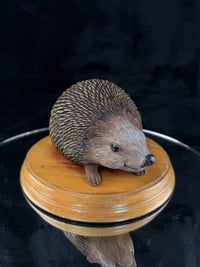 Thumbnail for Hand‑Painted Hedgehog on Wooden Plinth – Wildlife Figure / Ornament Resin? Gift4