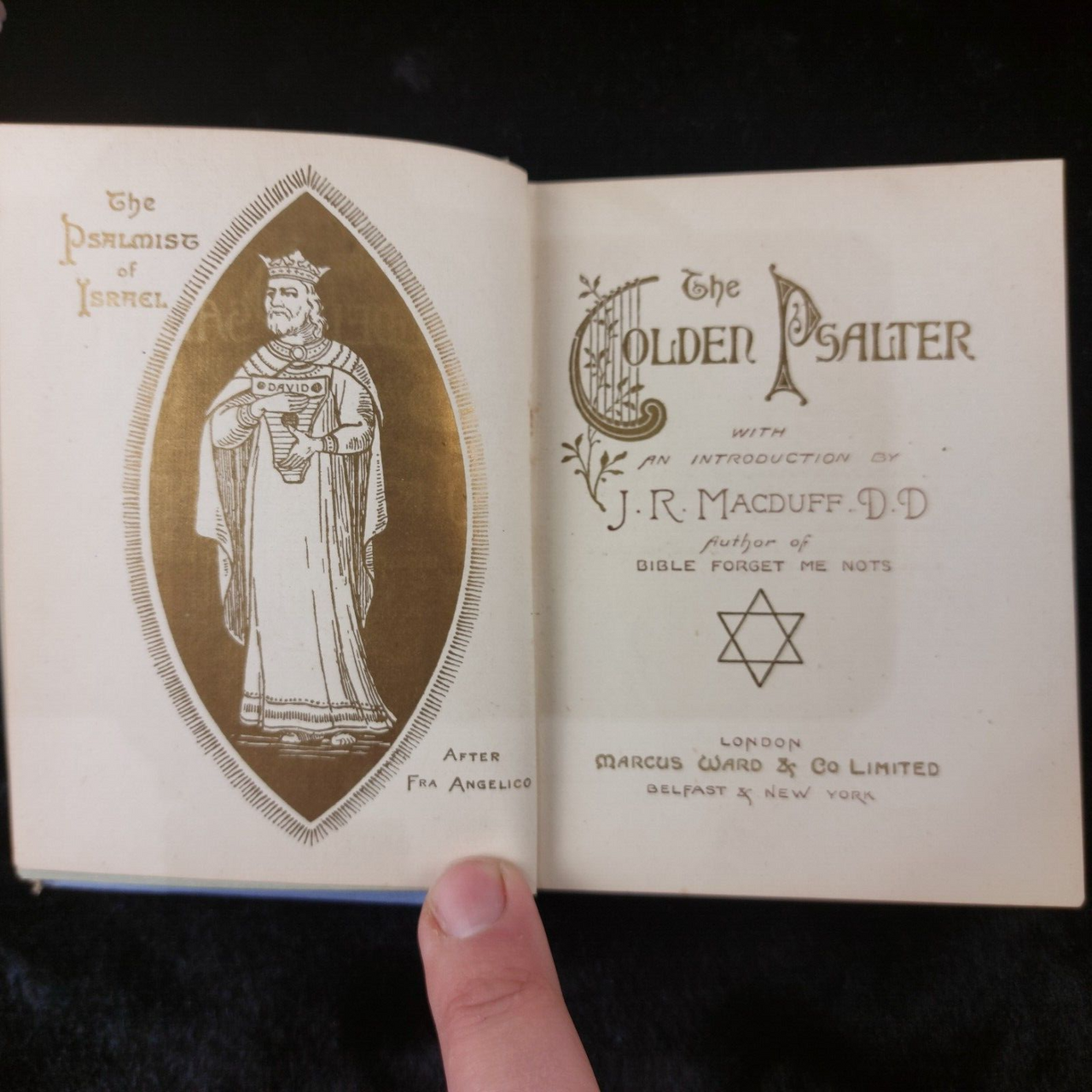The Golden Psalter 1889 Edition by Marcus Ward & Co Antique Decorative Book8