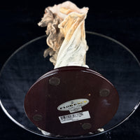Thumbnail for Rare Giuseppe Armani Florence 1998 “Summer Dreaming” Lady Figurine  Italy 1175C.15