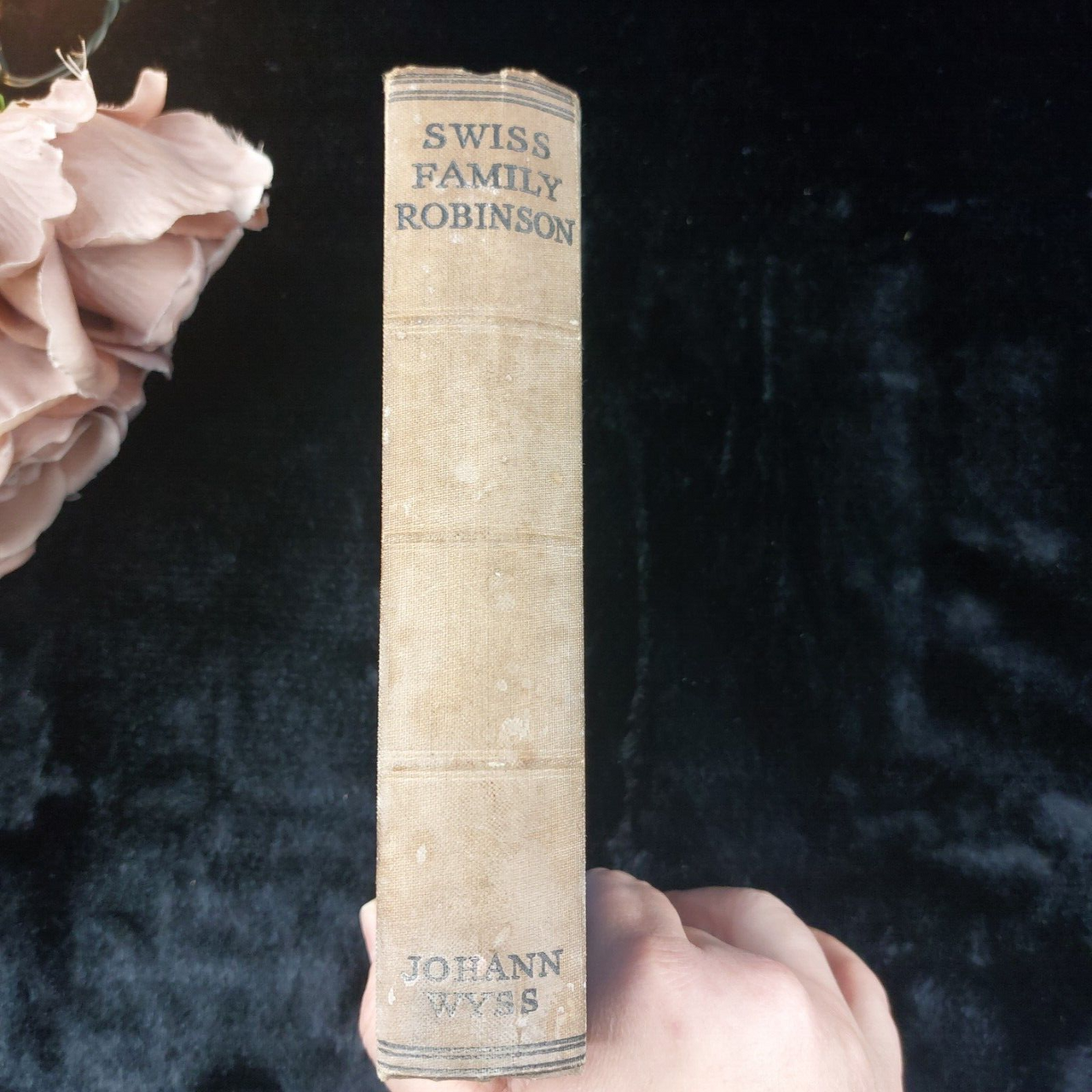 The Swiss Family Robinson by Johann Wyss - Vintage Edition Illustrated Ornament.3