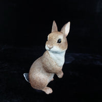 Thumbnail for Border Fine Arts Rabbit Collectible Figurine 2004 BFA Scotland 17cm, 638g decor12