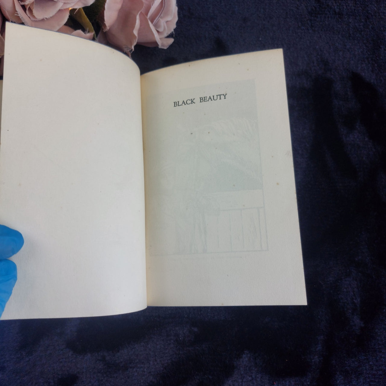 1930s Beauty Black Anna Sewell Illustrated Vintage Book Spine Blue Cloth Display3