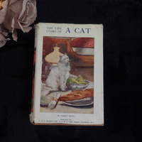 Thumbnail for 1933 Black Loki Persian Cat Book Violet Hunt Reprint Good with Dust Worn Jacket15