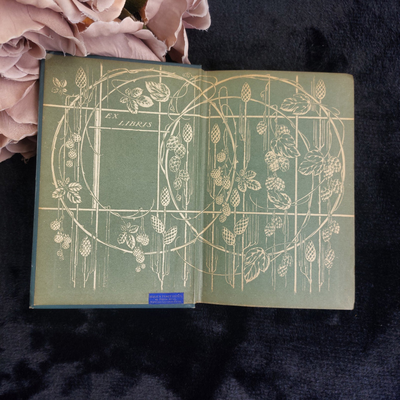 Novel Wise and Otherwise Pansy Illustrated  Antique Book2