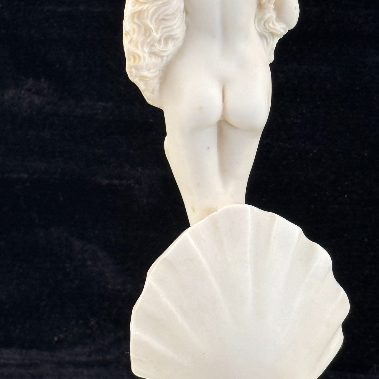 Birth of Venus Figurine gift 10.5" Resin w Shell Base Classical Nude Aphrodite.13