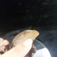 Thumbnail for Sri Lankan Wood Statue Acceptable – Stilt Fisherman Sculpture Hat Broken Brown11
