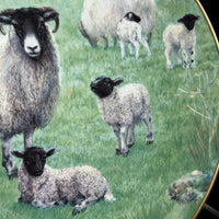 Thumbnail for Border Fine Arts The 