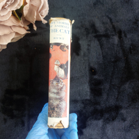 Thumbnail for 1933 Black Loki Persian Cat Book Violet Hunt Reprint Good with Dust Worn Jacket12