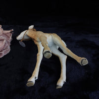 Thumbnail for Country Artists Deer Young & Enchanted 12in Figurine 01911 Hand Painted repaired12