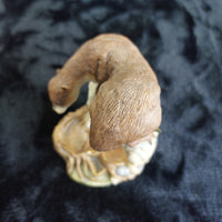 Thumbnail for Teviotdale Otter Figurine by Ed Janni Hand Painted Scotland, 5.5â Wildlife dec7